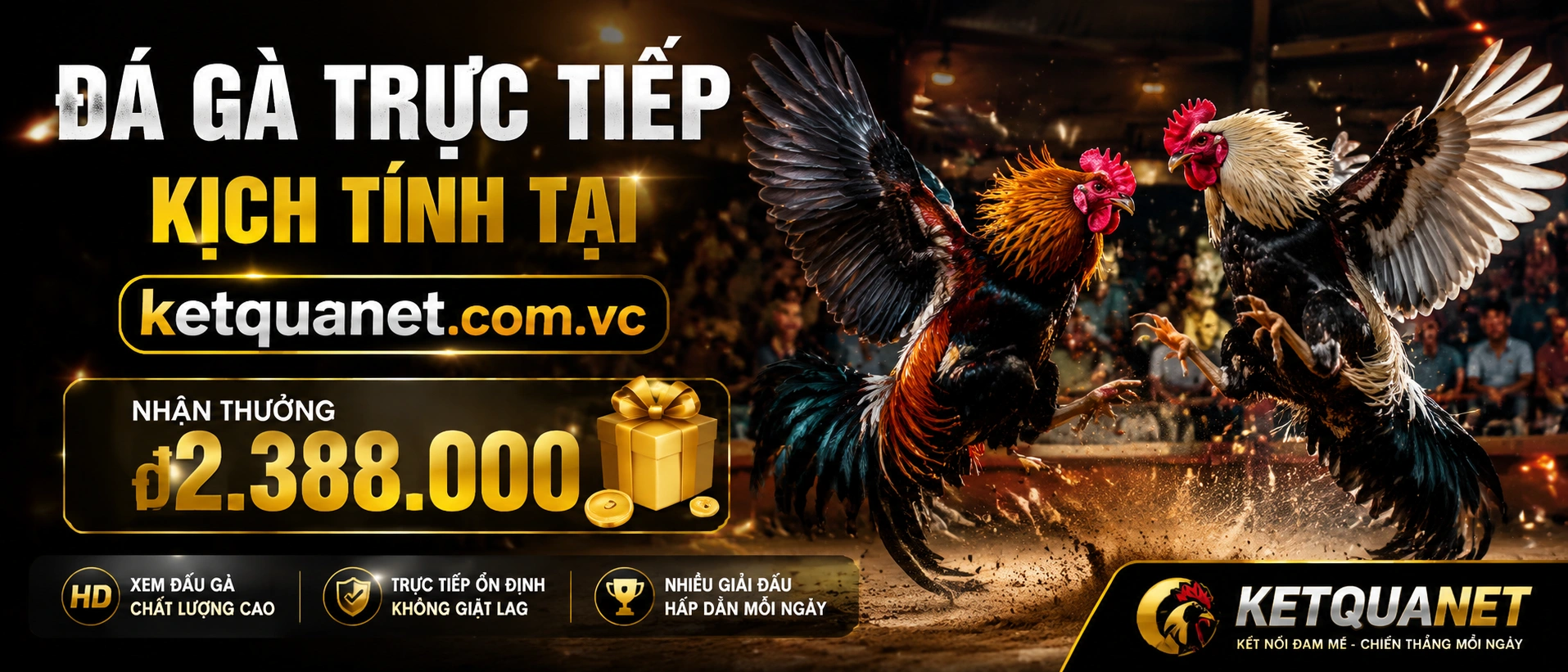 Đá Gà Trực Tiếp - giao diện xem nhanh trên mobile